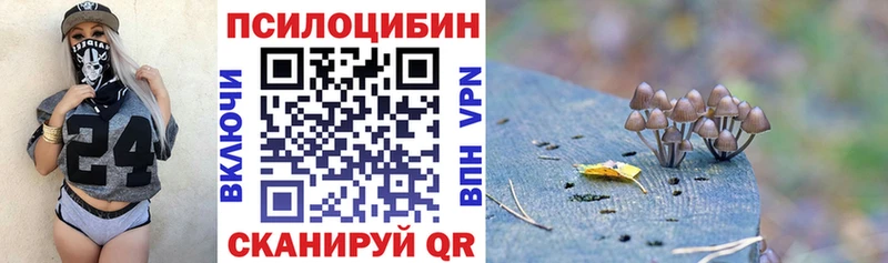 Галлюциногенные грибы Psilocybe Сегежа