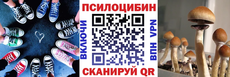 Галлюциногенные грибы Cubensis Купить где Сегежа